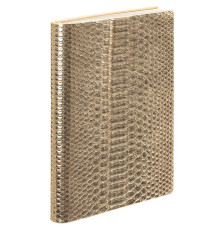 Ежедневник Anaconda, недатированный, золотистый