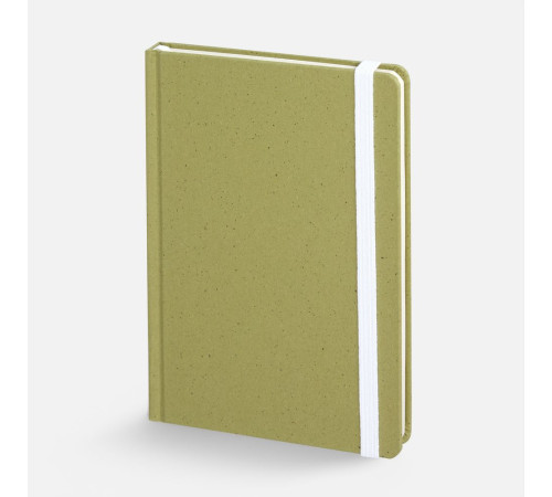Блокнот Lactonica, зеленый