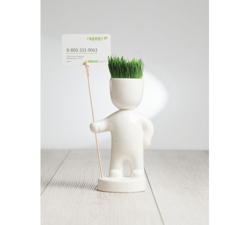 Набор для выращивания Funky Headman