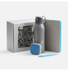 Набор Flexpen Flow, серый с бирюзовым