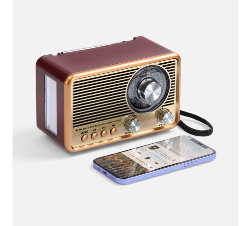 Bluetooth-колонка с радио Listenberg, коричневая