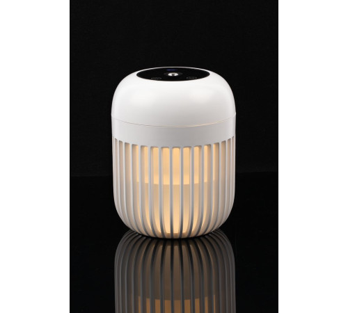 Переносной увлажнитель-ароматизатор с подсветкой PH11, белый