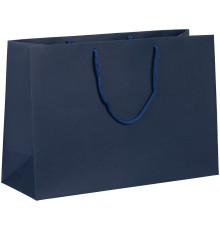 Пакет бумажный Ample Plus M, синий