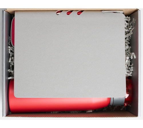 Набор Flexpen Flow, серый с красным