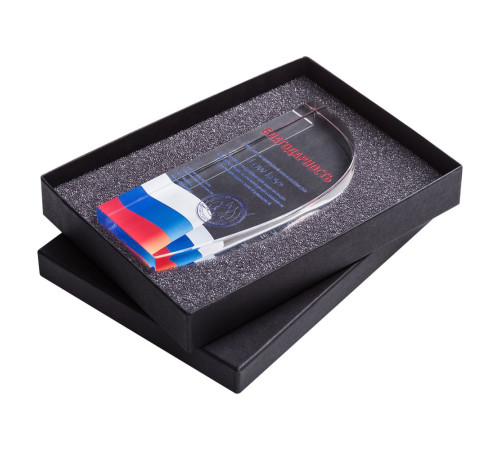 Награда «Попутный ветер»