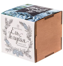 Набор для выращивания «Экокуб Lite», ель голубая